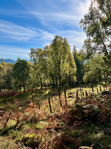 Autumns View for the Scottish Highlands